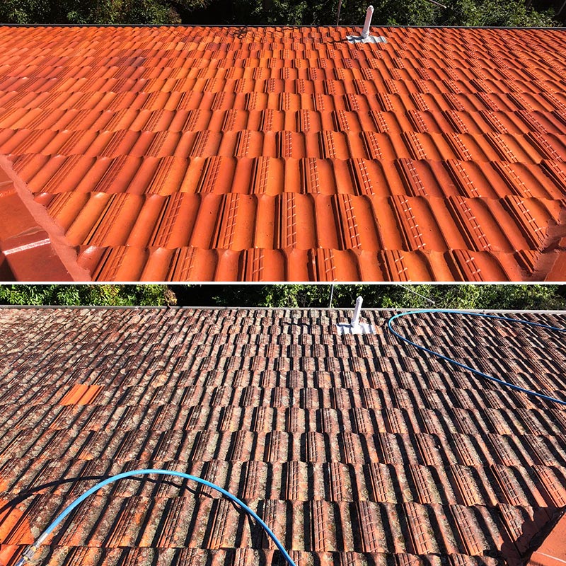 Roof Restoration Blogs