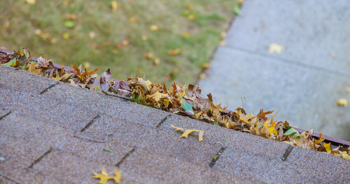 Gutter Cleaning: Is It Necessary?